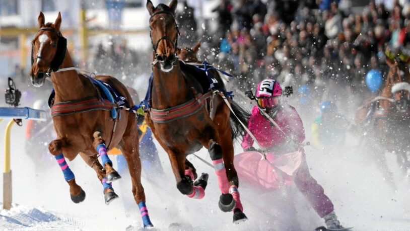 «Usbekia» zieht Fahrerin Valeria Holinger beim Skikjöring. Bild: swiss-image.ch
