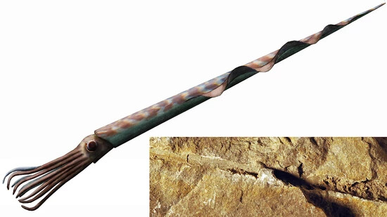 Das laut Forschenden unansehnliche Fossil der Tintenfisch-Art "Ticinoteuthis chuchichaeschtli" wurde bereits vor Jahrzehnten entdeckt.