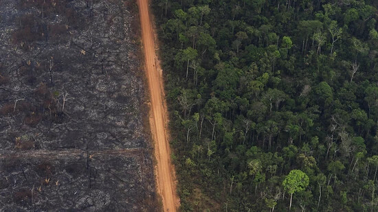 Durch neue Kriterien bei der Vergabe der Weltbank-Kredite soll es sich für Staaten mehr lohnen, in Projekte zu investieren, die nicht allein zu ihrem eigenen Nutzen sind – etwa in den Schutz von Regenwäldern. (Symbolbild)