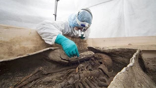Forschende des Römermuseums Augusta Raurica legen das Skelett der älteren, wohlhabenden Frau im Bleisarg frei.