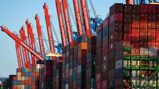 Containerschiffe in Hamburg: Deutschen Exportunternehmen haben im August weniger exportiert als im Juli und im Jahr zuvor. (Archivbild)