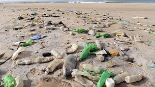 Plastik soll eher vermieden als aufgeräumt werden, forderten Umweltorganisationen. (Archivbild)