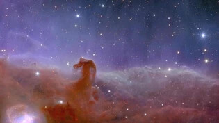 Noch kein Teleskop hat die "Horsehead Nebula", etwa 1375 Lichtjahre von der Erde entfernt, so scharf fotografiert.