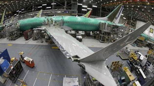 Die 737-Serie ist ein Bestseller des Flugzeugbauers Boeing. (Archivbild)