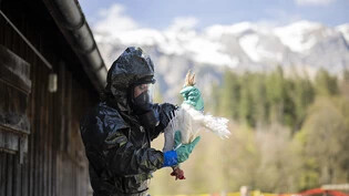 Auch in der Schweiz kommt es immer wieder zu Fällen von Vogelgrippe. Die Seuchenwehr des Zivilschutzes übte im vergangenen Jahr den Umgang damit. (Archivbild)