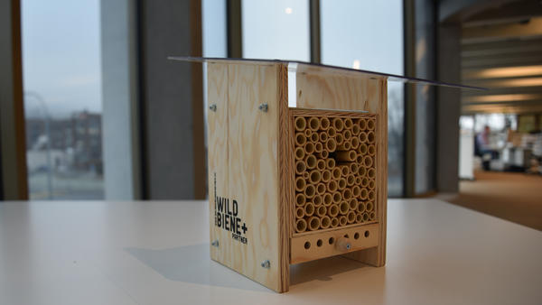 Ein Bienenhaus-Exemplar im Medienhaus