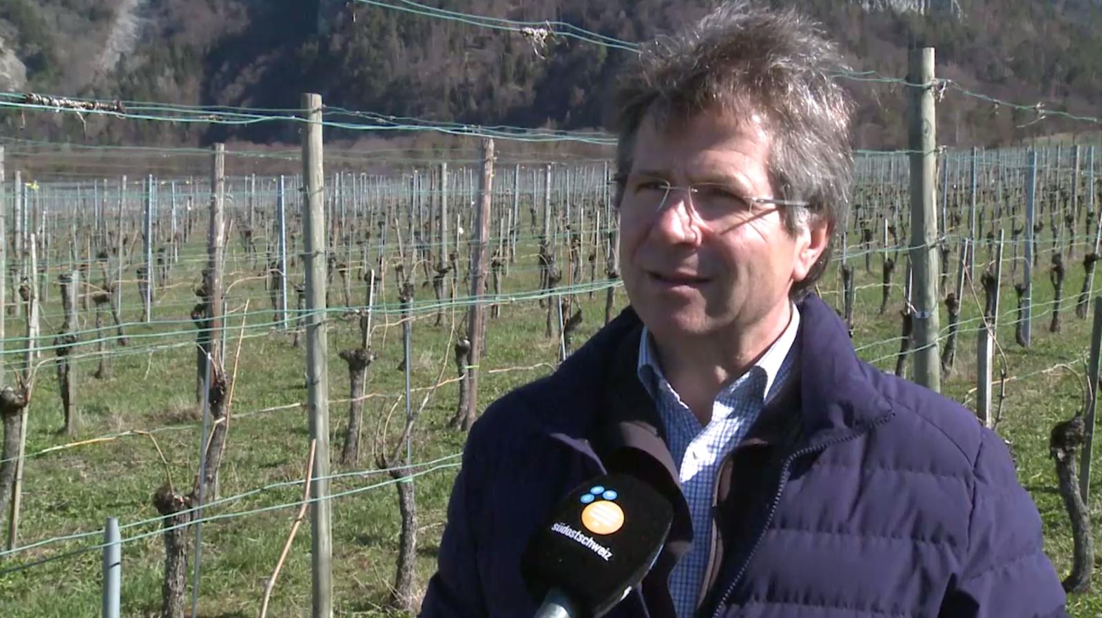 Leonhard Kunz, Geschäftsführer Graubünden Wein, hier im Interview mit TV Südostschweiz. SCREENSHOT