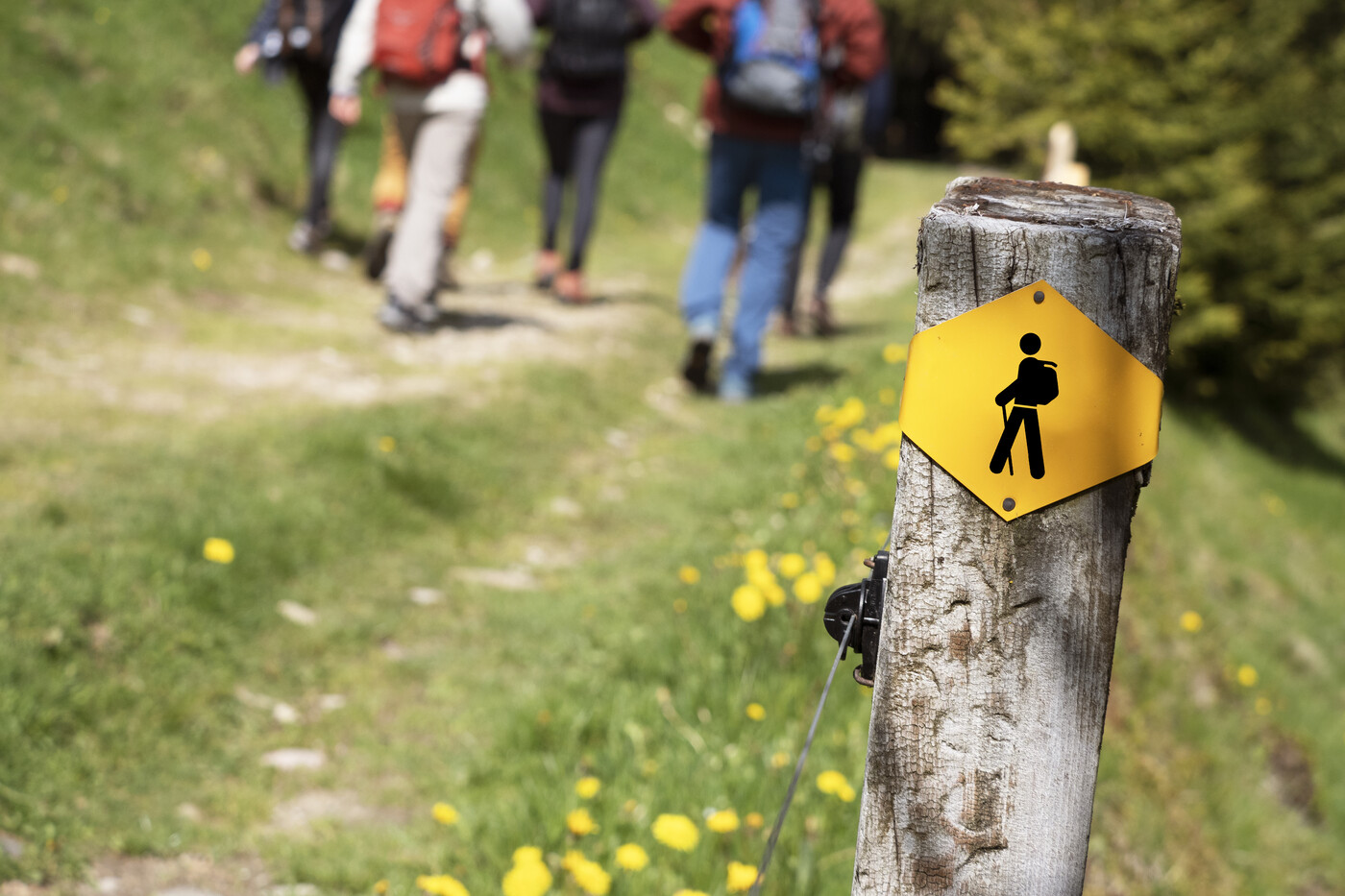 Vor der Wanderung gilt, sich über die Wegkategorien zu informieren. Besonders mit Kindern empfiehlt sich ein gelber Wanderweg.