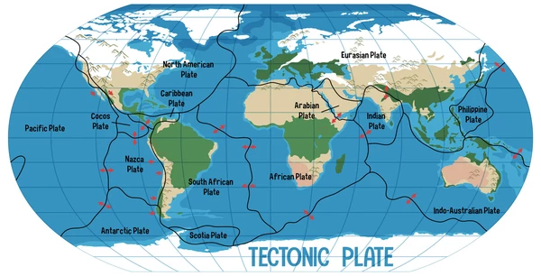 Platten sind keine Kontinente: Es gibt rund 60 kleinere Platten und sieben sehr grosse Platten.