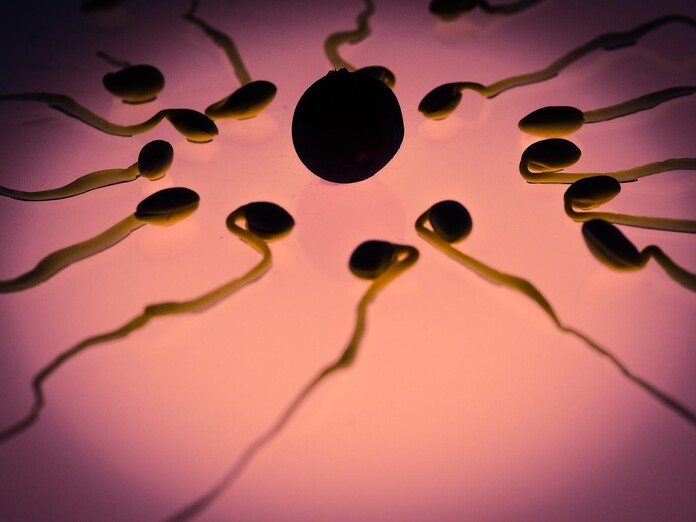 ursachen fur eine schlechte morphologie der spermien