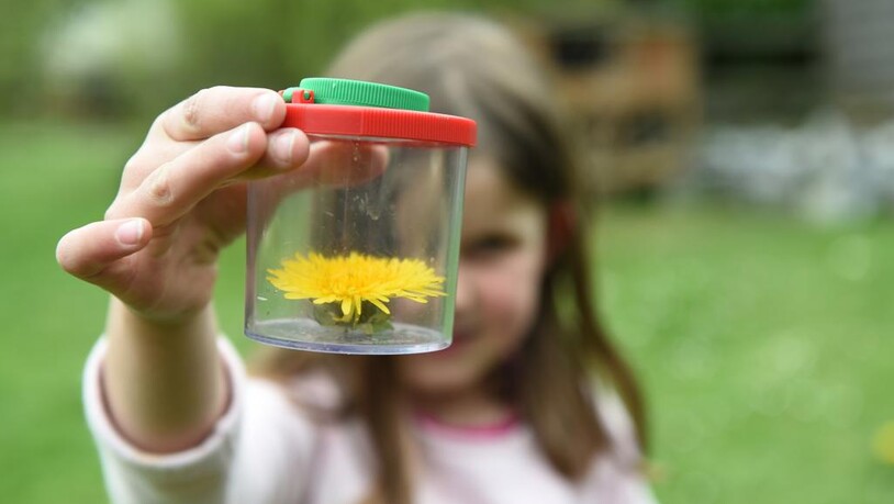 Bild zum Thema: Adriana Oswald, bald Präsidentin des WWF Glarus, hier im Bild ihre Tochter Sophie, die eine Frühlingsblume zeigt.Aufgenomm