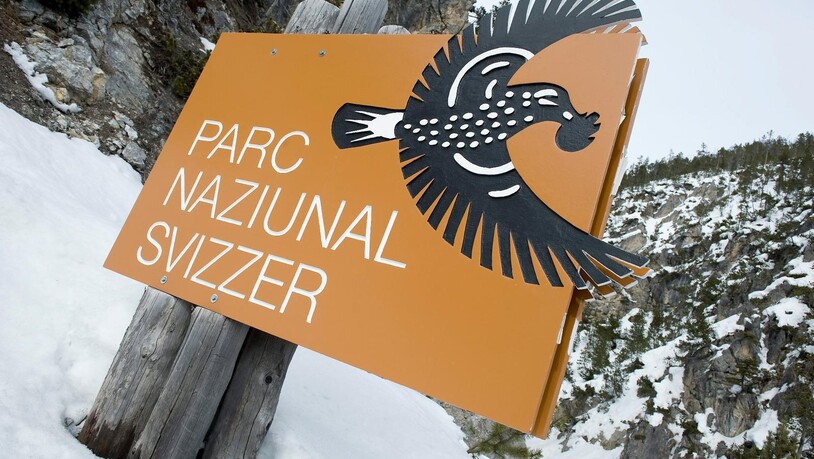 Die Besucher wird spätestens ab 2020 Neues im Schweizerischen Nationalpark erwarten.