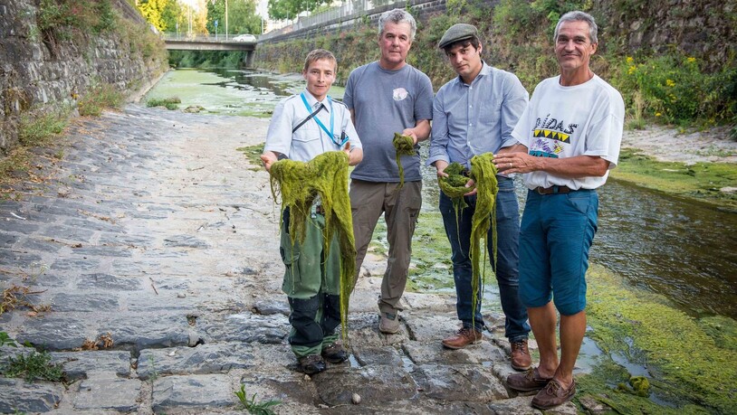 Die Fischer Doris Beyeler, Reto Stirnemann, Andri Pfister und Urs Steinegger (v. l.) halten nichts davon, Algen zu entfernen.