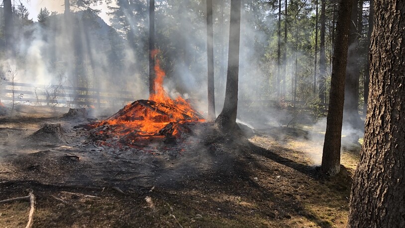 Ein Holzhäuschen und drei Bäume verbrannten am Ostersonntag bei Grüsch komplett.