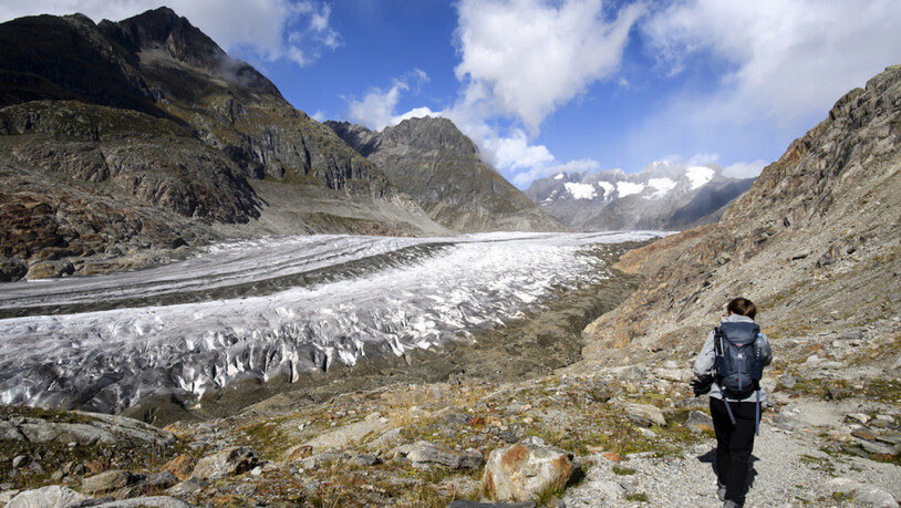 Der Aletschgletscher büsst in den unteren Lagen jedes Jahr 5 Meter ein. (Archivbild)