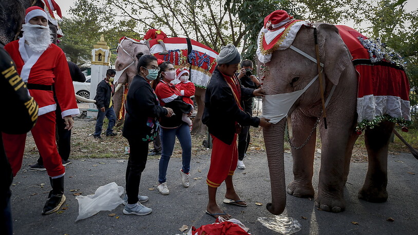 Schülerinnen und Schüler sind in Thailand von Elefanten besucht worden, die das Weihnachts-Kostüm trugen. Tierschützer kritisierten die Aktion.