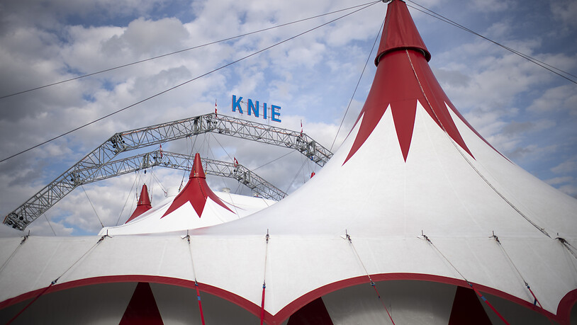 Der Circus Knie klagt vor dem St. Galler Handelsgericht gegen eine Online-Plattform. Gestritten wird um Internet-Ticketverkäufe, Markenrechte und den Vorwurf des unlauteren Wettbewerbs (Archivbild).