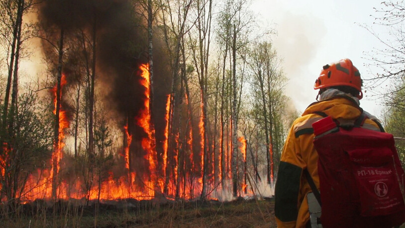 ARCHIV - Ein Mitarbeiter des russischen Katastrophenschutzministeriums kämpft gegen einen Flächenbrand. Foto: -/Aerial Forest Protection Service via Sputnik/dpa - ACHTUNG: Nur zur redaktionellen Verwendung im Zusammenhang mit der aktuellen…