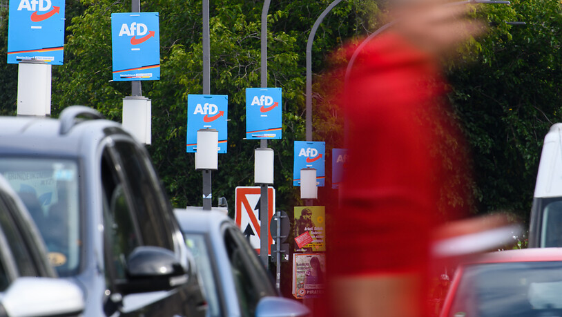 Wahlplakate der AfD hängen am Terrassenufer an Lampenmasten. Die AfD ist nach der Bundestagswahl in Sachsen und Thüringen stärkste Kraft. Foto: Robert Michael/dpa-Zentralbild/dpa