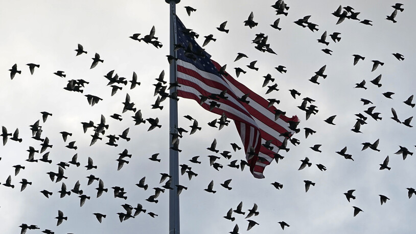 Vögel fliegen an einer US-Flagge vorbei, die über dem Old Executive Office Building auf dem Gelände des Weißen Hauses in Washington weht. Bei einem Treffen am Wochenende hat sich die US-Delegation zu ersten Gesprächen mit den Taliban getroffen. Foto:…