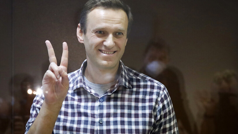 ARCHIV - Kremlkritiker Alexej Nawalny während eines Gerichttermins im Februar. Er erhält den Sacharow-Preis des Europaparlaments. Foto: Alexander Zemlianichenko/AP/dpa