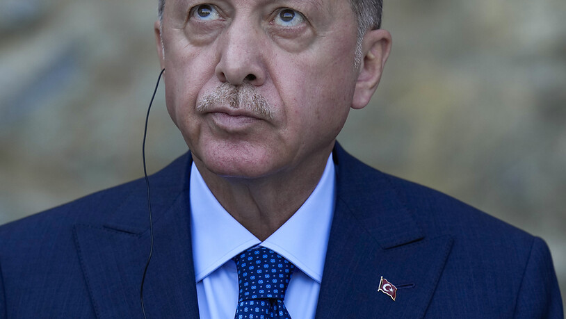 Der türkische Präsident Recep Tayyip Erdogan während einer Pressekonferenz. Foto: Francisco Seco/AP/dpa