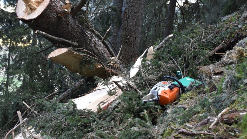 Bei einem Arbeitsunfall in Andeer wurde ein Forstarbeiter von einem Baumstamm eingeklemmt und verletzt.