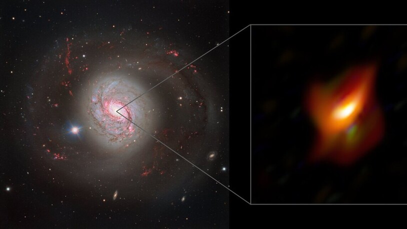Blick auf die Galaxie "Messier 77", in deren Zentrum sich ein "Aktiver Galaxienkern" befindet.