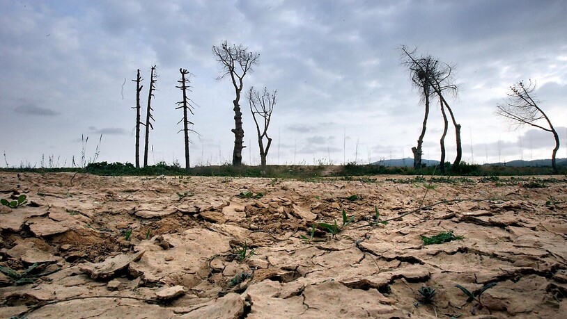 Ein ausgetrocknetes Flussbett im Norden Spanien: Laut einem Bericht der Uno könnten im Jahr 2050 mehr als drei Viertel der Weltbevölkerung von Dürre betroffen sein. (Archivbild)