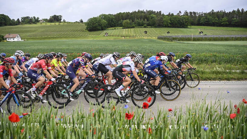 Spannende Rennen sind garantiert: Die Fahrerinnen kämpften 2021 in Frauenfeld um die ersten Plätze an der Tour de Suisse.