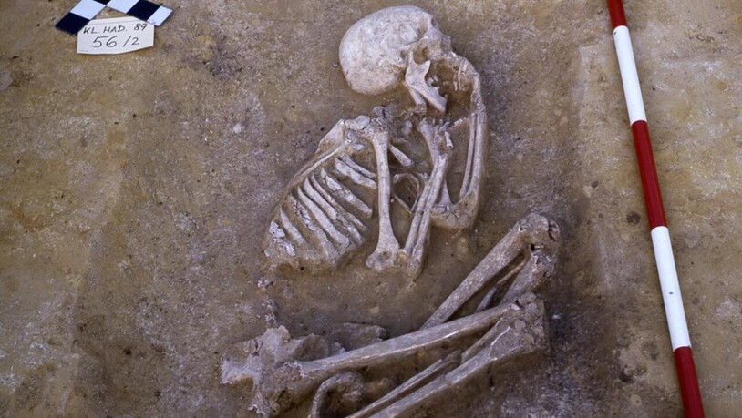 Ein Skelett aus dem Fundort Kleinhadersdorf im niederösterreichischen Weinviertel, dessen Genom in der Arbeit analysiert wurde.