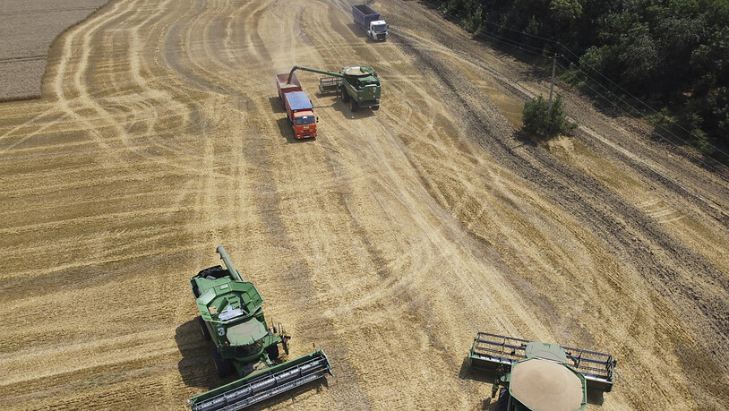 Russische Bauern bei der Ernte. (Archivbild)