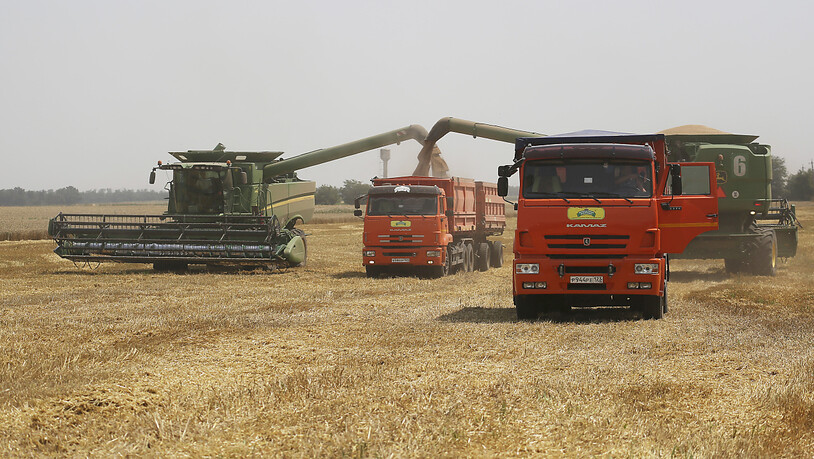 Die Landwirtschaft in der Ukraine hat wegen des russischen Angriffskrieges schon jetzt grosse Schäden erlitten. (Archivbild)