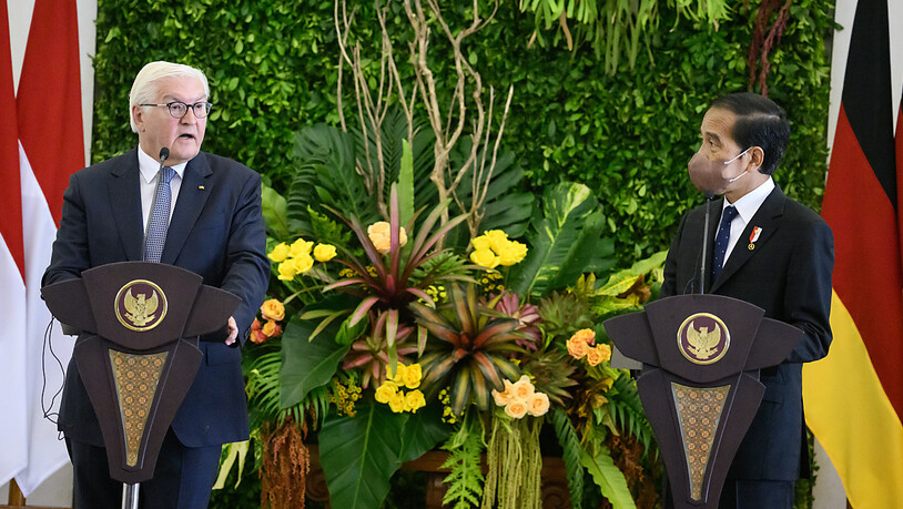 Deutschlands Bundespräsident Frank-Walter Steinmeier (l) und Joko Widodo, Präsident von Indonesien, äußern sich bei einer Pressekonferenz nach ihrem Gespräch im Präsidentenpalast, dem Istana Bogor. Steinmeier hat am Donnerstag einen zweitägigen…