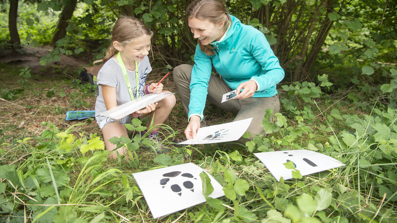 Tiere erkennen: Angela, 9, Schülerin der dritten Klasse in Tomils, hört der Lehrerin Jacqueline Gasser im Wald an der Waldtrophy oberhalb von Pratval aufmerksam zu.