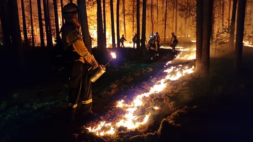 dpatopbilder - Einsatzkräfte der Hilfsorganisation @fire legen Gegenfeuer, um eine weitere Ausbreitung des Waldbrandes zu verhindern und die Feuerwehr bei der Bekämpung des Feuers zu unterstützen. Der Waldbrand bei Beelitz (Potsdam-Mittelmark) ist nach…