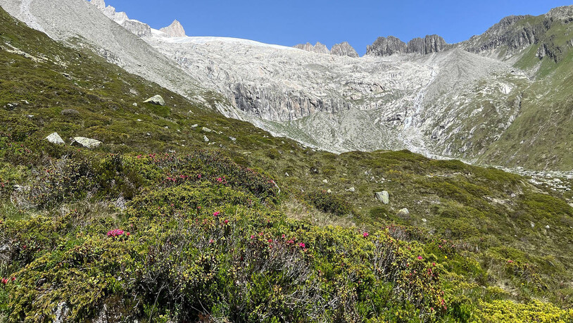 Auch der Driestgletscher oberhalb des Grossen Aletschgletschers im Kanton Wallis ist bereits jetzt im Juni schneefrei.