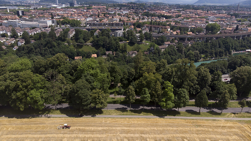 Die Kosten für den Anbau von einem Hektar Getreide sind um 500 Franken gestiegen: Ein Traktor in einem Weizenfeld in Bern. (Archivbild)