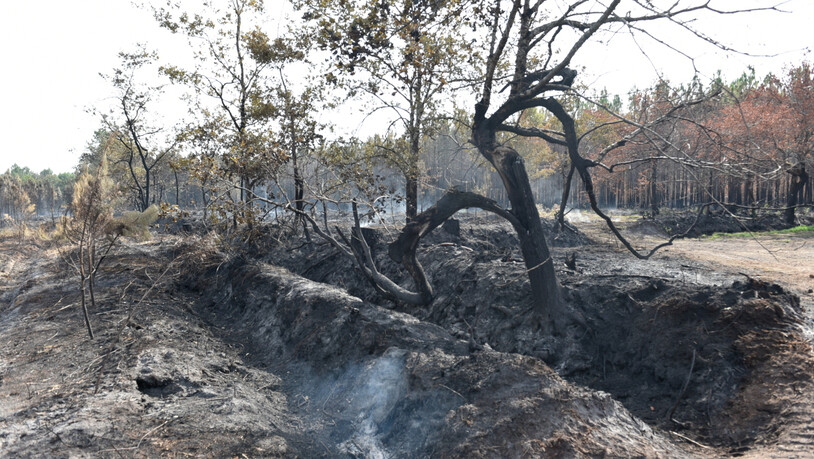 Blick auf einen abgebrannten Baum in Südfranrkeich. Foto: Ervin Shulku/ZUMA Press Wire/dpa