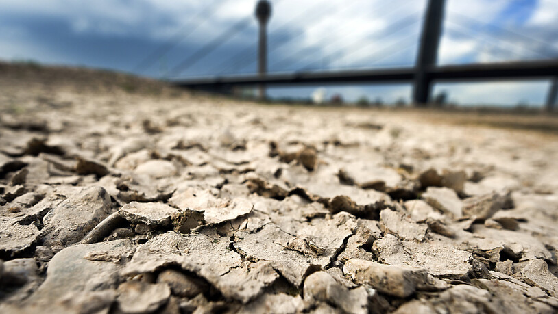 Fast die Hälfte Europas ist einem Expertenbericht zufolge von Dürre bedroht. In einem Bericht der Europäischen Dürrebeobachtungsstelle heisst es, mit Stand 10. August werde für 47 Prozent des europäischen Gebiets vor Dürre gewarnt. (Archivbild)