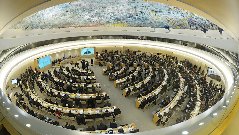 ARCHIV - Blick in den Sitzungssaal des Menschenrechtsrates der Vereinten Nationen. Foto: Rainer Jensen/dpa