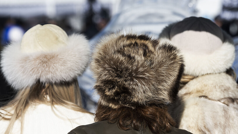 Im Schweizer Verkauf werden Pelzprodukte noch immer mangelhaft deklariert. (Archivbild)