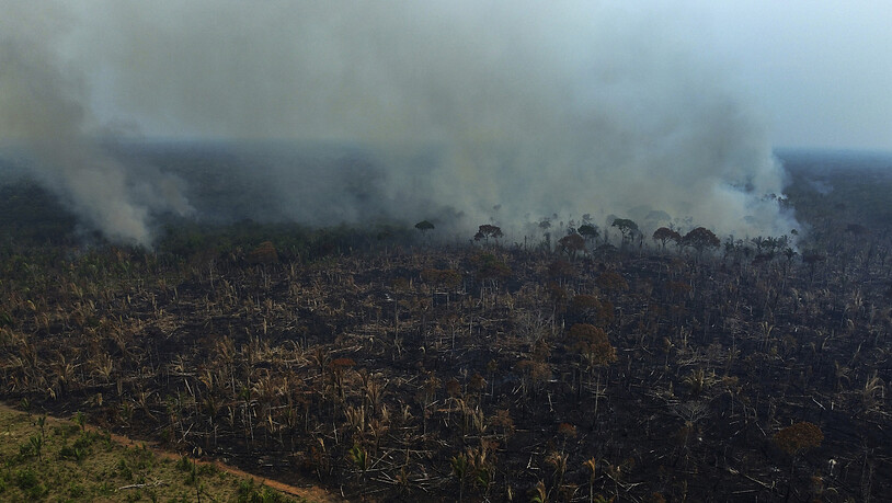 Durch Brände ist in Brasilien im vergangenen Monat fast doppelt so viel Fläche verwüstet worden wie im November 2021. Es seien im November 775'000 Hektar Wald und Land verbrannt. (Archivbild)