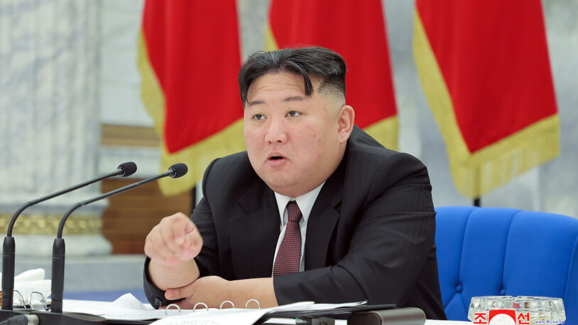 HANDOUT - Die von der staatliche Nachrichtenagentur von Nordkorea KCNA (Korean Central News Agency) zur Verfügung gestellte Aufnahme zeigt Kim Jong Un, Machthaber in Nordkorea, während einer Versammlung der Partei der Arbeit Koreas. Foto: -/KCNA/dpa