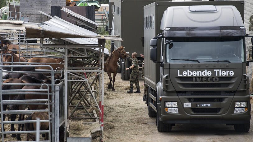 Das Militär sicherte Tiere auf dem Hof in Hefenhofen TG anlässlich der Zwangsräumung im August 2017. (Archivbild)