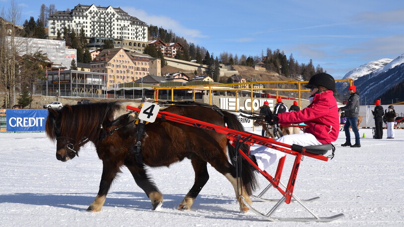Impressionen vom 11. Februar: Anlässlich der White Turf Family Days finden auf dem St. Moritzersee Ponyrennen und Skijöring statt.