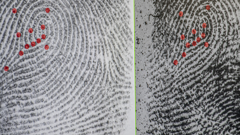 Übergross: Die Fingerabdrücke werden nach dem Grundmuster verglichen. Bild Riccarda Hartmann
