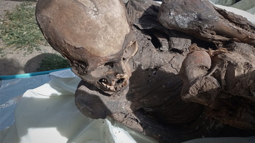 Die Polizei fand die Überreste der Mumie am Samstag in der Tasche bei einer Patrouille in einem Park in der peruanischen Stadt Puno.