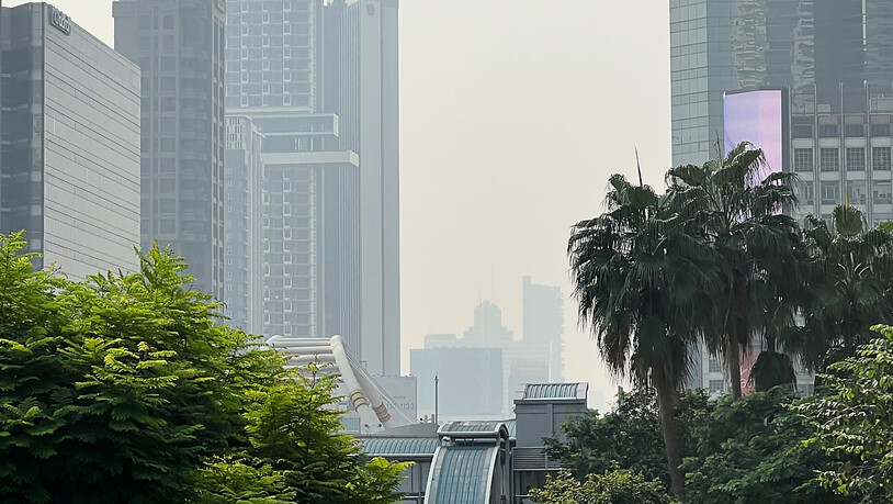 Eigentlich wäre der Himmel blau, aber in Bangkok und andere Teilen Thailands herrschen derzeit hohe Feinstaubwerte - Wolkenkratzer und andere Gebäude sind in dichten Smog gehüllt. Foto: Carola Frentzen/dpa
