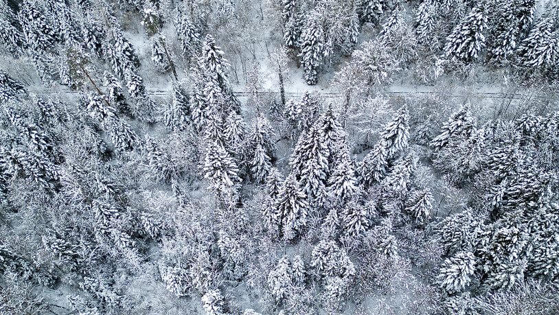 Die Naturgefahrenfachstelle des Bundes hat für das Wochenende vor erheblicher Gefahr durch Schnee im Alpenraum gewarnt. Zwischen Martigny VS und dem liechtensteinischen Vaduz wurde mit der Gefahrenstufe drei von fünf eine "erhebliche Gefahr" angegeben. …